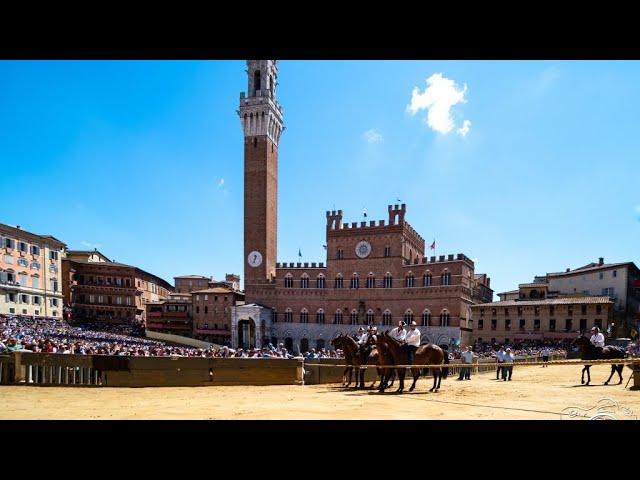 Batterie | Palio di Siena 16 agosto 2024 | SOGNO PALIO