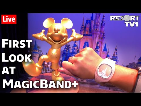 MagicBand+ Debuts July 27 at Disney World — Here's What We Know!