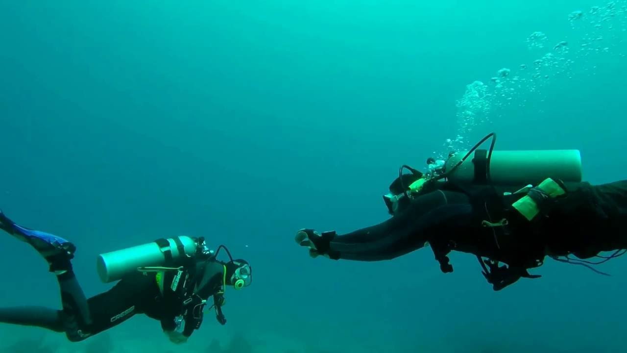 Scuba Diving at Sandals Negril YouTube