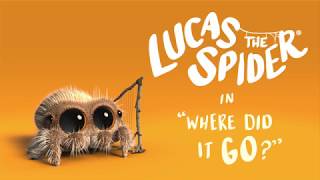 Lucas the Spider  Where Did It Go?  Short