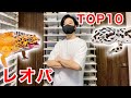 75匹レオパを飼育する男のベスト10を紹介！【ヒョウモントカゲモドキ｜爬虫類】