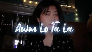 Vignette de la vidéo "Awm Lo Ta La| Cover by Shin"