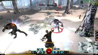 GW2 | So this is a Guardian with a Greatsword huh... "BEAST".