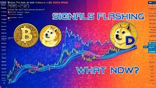 BITCOIN MAJOR MOVE DOWN COMING IN MARCH!? BITCOIN 50K BEAR MARKET CRASH OR BEAR TRAP FOR DOGECOIN!?