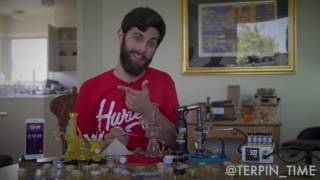 Dab Education 101