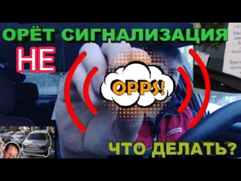 Сигнализация работает, но не орет. Ищем причину.