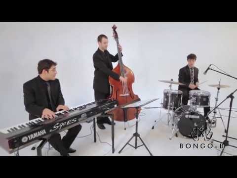 bongo-&-b-entertainment:-instrumental-jazz-trio