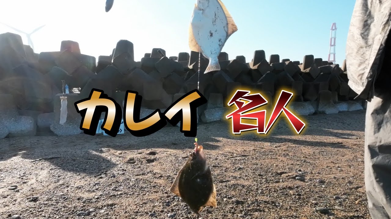 釣果に差が出るカレイ釣り