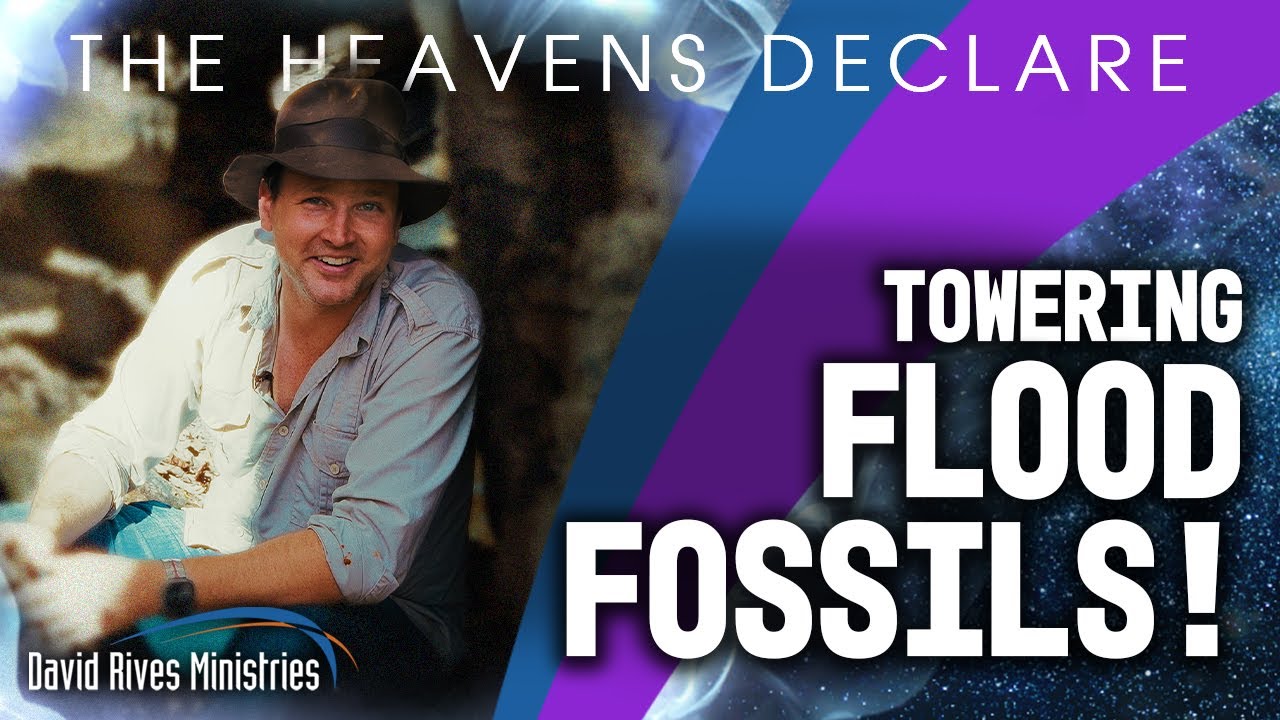 Towering Flood Fossils | The Heavens Declare with David Rives