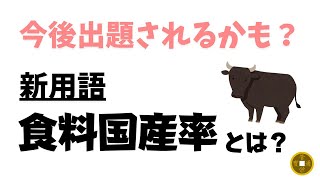 【新用語】食料国産率とは？