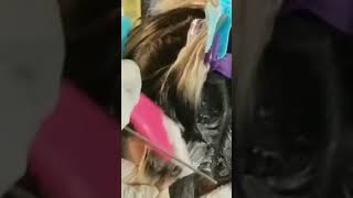 LET'S GO BLOND WITH MYDENTITY BIG 9