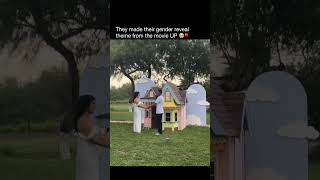 Gender Reveal With Theme From Up Movie