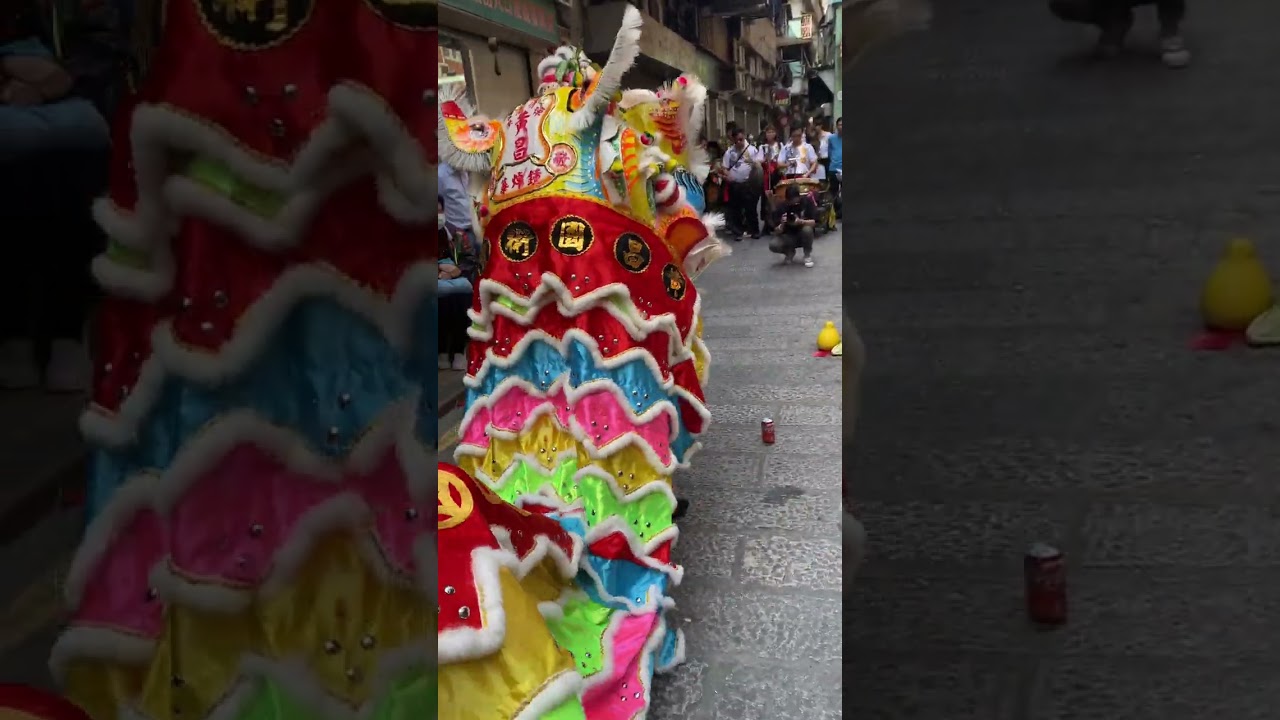 2023#二月初二#土地爺爺寶誕 成立99週年會慶 採青活動5#禪清港澳黃昌國術體育會