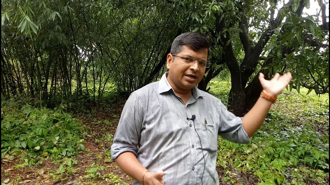 69 Guntha Farm House Land for Sale in Nanij, Near Pali, Ratnagiri, Konkan.