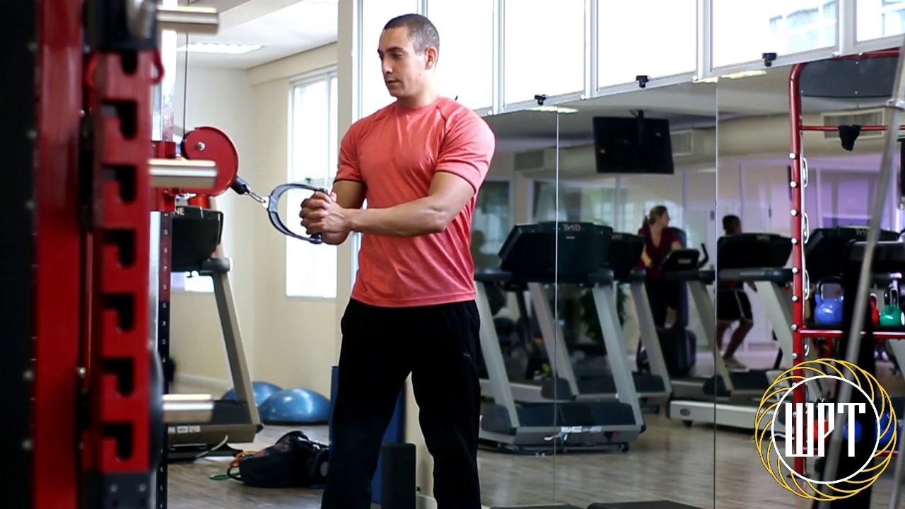 WPTreinos - Rotação do Tronco com Cabo - YouTube