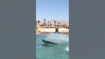 واحة أيلة في العقبة 