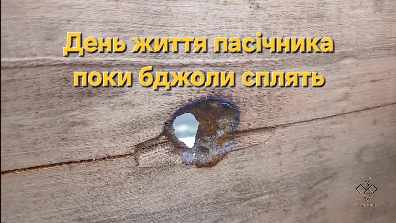 День життя пасічника поки бджоли сплять