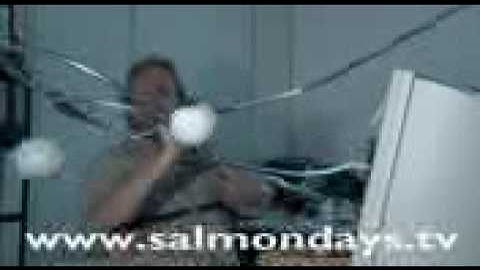 Microsoft Office Assistant Beat up