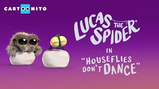 Lucas the Spider  Houseflies Don't Dance  Short