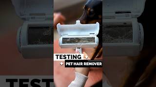 Testing The Best Pet Pet Hair Remover! Does It Work?