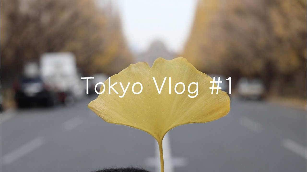 Vlog Tokyo Vlog 1 東京 도쿄 브이로그 カフェ巡り Shopping 麹町 外苑前 麻布十番 原宿 Youtube