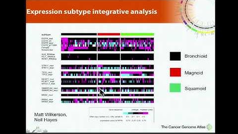 TCGA: Comprehensive Analysis of Lung Adenocarcinoma - Matthew Meyerson