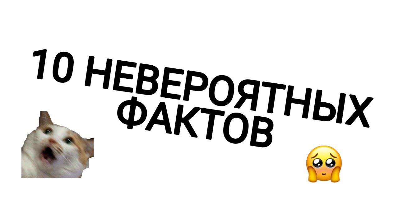 Факты о приоре