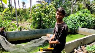 mancing di kolam lele malah dapat ya😱😱😱😱#mancing #rawa