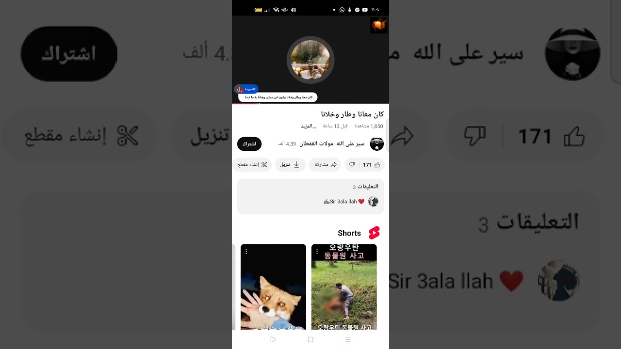 الخيانة هي قول الله الوطن لمزرطي 😡😡😡وعاشت عائلة لمزرطي