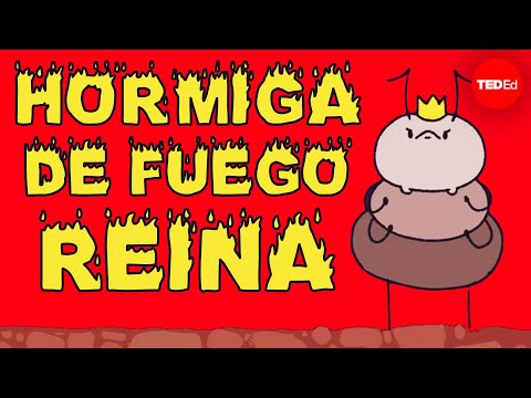 La vida de
