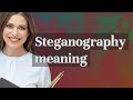 What Is Steganography? | Meaning & Explanation Explained