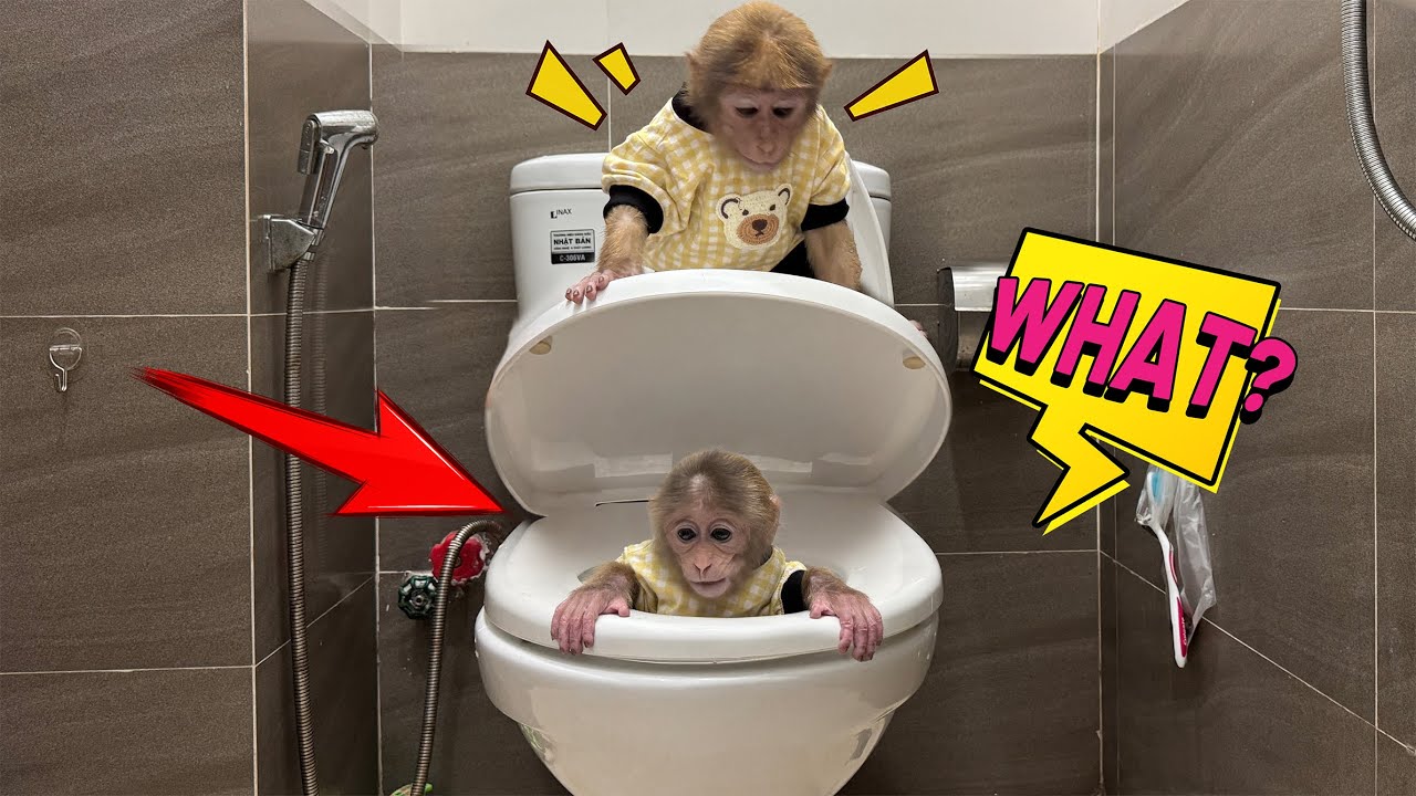 Лаки потерял самообладание и сделал что-то такое, что ошеломило Санни!