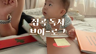 애줌미 북튜버의 집콕 짬짬 독서 📖 | 최애 요리에세이 3권 추천 | 재료의산책 정위스님의가벼운밥상 사유식탁