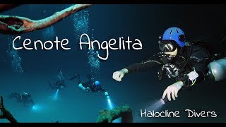 Halocline Divers - Cenote Angelita