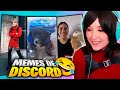 PATTY MEZA REACCIONA A MEMES DE DISCORD! 🤣🤣 - #42