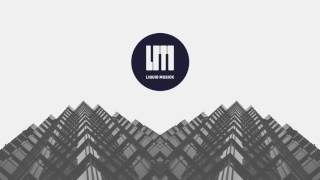 Bachelors Of Science - On The Line (ft. Collette Warren & Ben Soundscape) (Random Movement Remix)
