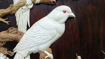 💖 💖 Đẳng cấp Giá Đĩa Gỗ trắc khảm gỗ sưa, Ngà💖 💖