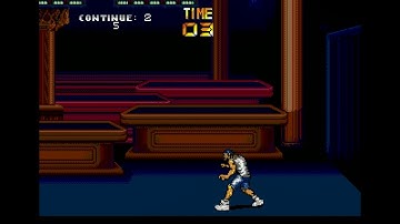 Game Over: The Punisher (Genesis)
