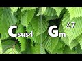 Csus4 to Gm maj7 Backing Track