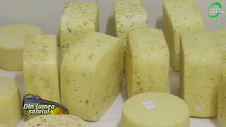 Micile Afaceri Din Procesarea Lactatelor Sunt Pe Profit