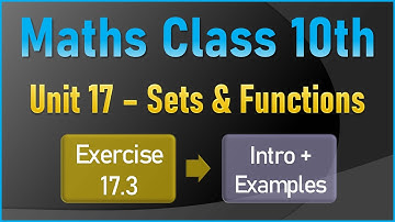 NEW Math 10th Exercise 17.3 | SETS & FUNCTIONS | INTRODUCTION & EXAMPLES |
