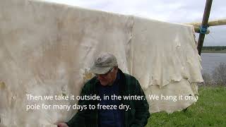 Bill Jolly Moose Hide Tanning Tutorial