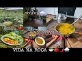 VIDA NA ROÇA: MUITA FARTURA/ COLHEITA /CHUVA E CALDINHO DE MANDIOCA /ROTINA DA NOITE +ALMOÇO/