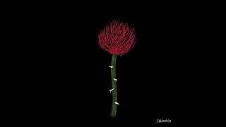 Download Lagu [kpop/release] swimtin_sometimes(2025) MP3