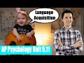 AP Psychology: Language and Language Acquisition Quiz