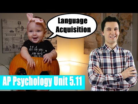 Children U0026 Language Development [AP Psychology Unit 5 Topic 11] (5.11)