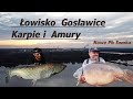 Łowisko Gosławice   Karpie i Amury  #Nowe Pb Tomka 28,2kg