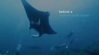 ESG Impacts Traceability Platform