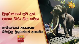               Hiru News