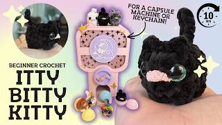 Itty Bitty Capsule Kitty Crochet Pattern - Beginner Friendly